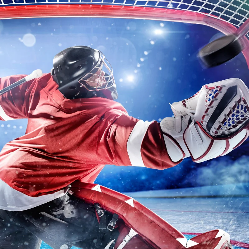 ice hockey helmet with cage